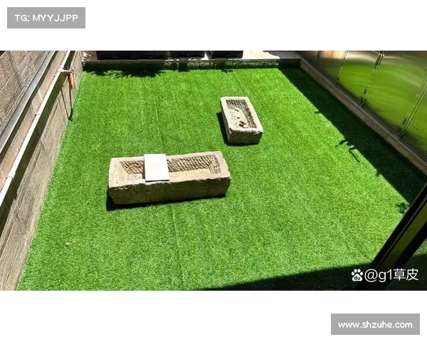 球场草皮养护技巧与管理方法探讨提升运动表现与延长使用寿命 球场草皮养护技巧与管理方法探讨提升运动表现与延长使用寿命